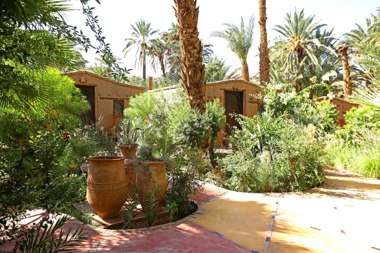 Ecolodge Bab El Oued Maroc Oasis Agdz Εξωτερικό φωτογραφία