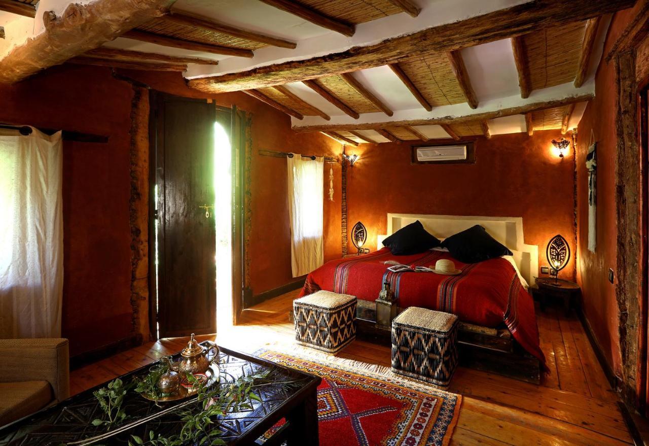 Ecolodge Bab El Oued Maroc Oasis Agdz Εξωτερικό φωτογραφία