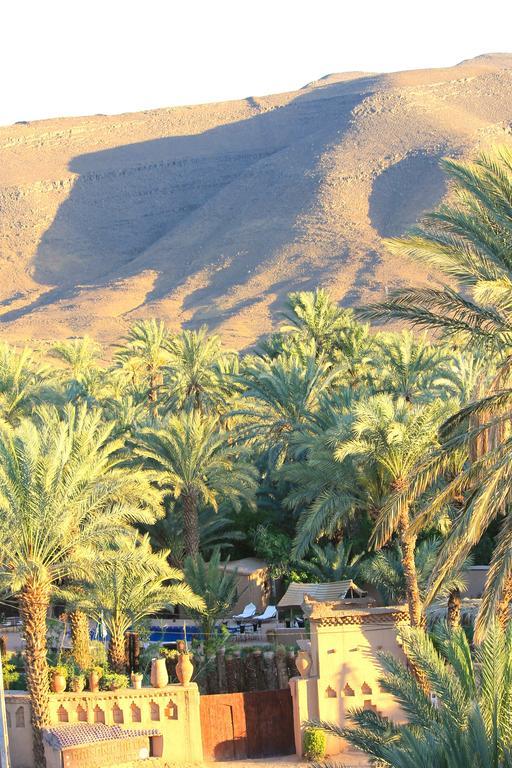 Ecolodge Bab El Oued Maroc Oasis Agdz Εξωτερικό φωτογραφία