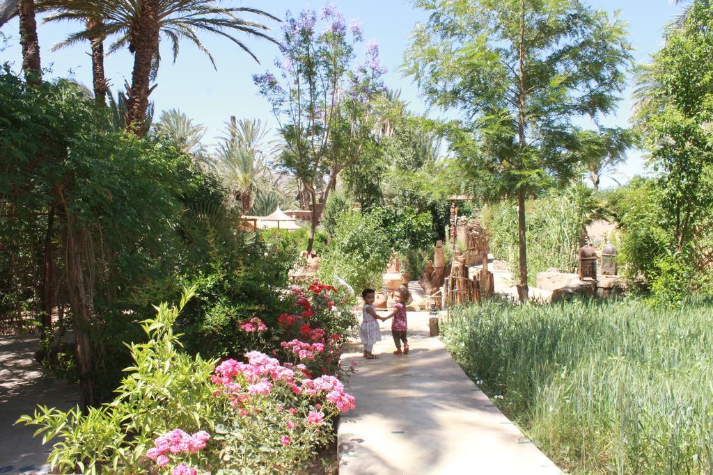 Ecolodge Bab El Oued Maroc Oasis Agdz Εξωτερικό φωτογραφία