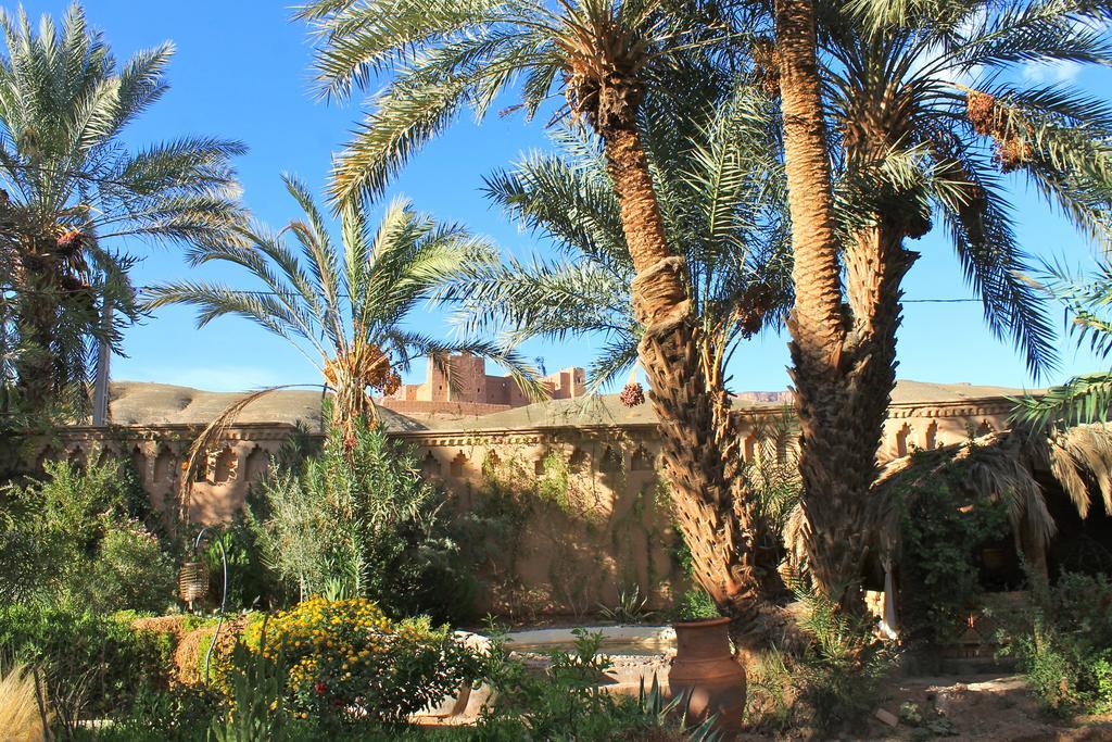 Ecolodge Bab El Oued Maroc Oasis Agdz Εξωτερικό φωτογραφία