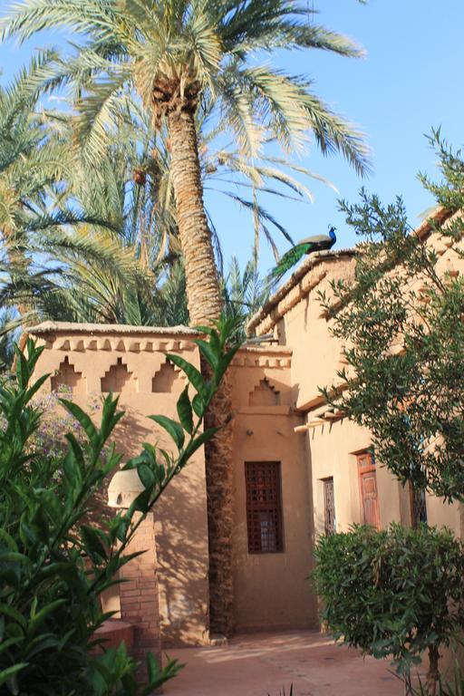 Ecolodge Bab El Oued Maroc Oasis Agdz Δωμάτιο φωτογραφία