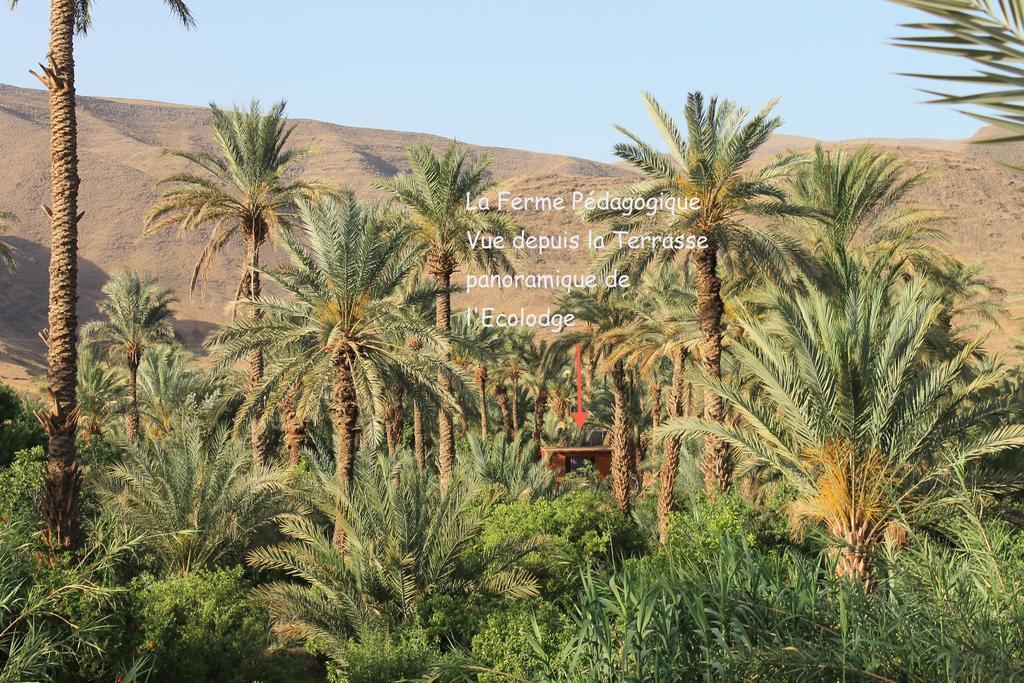 Ecolodge Bab El Oued Maroc Oasis Agdz Εξωτερικό φωτογραφία
