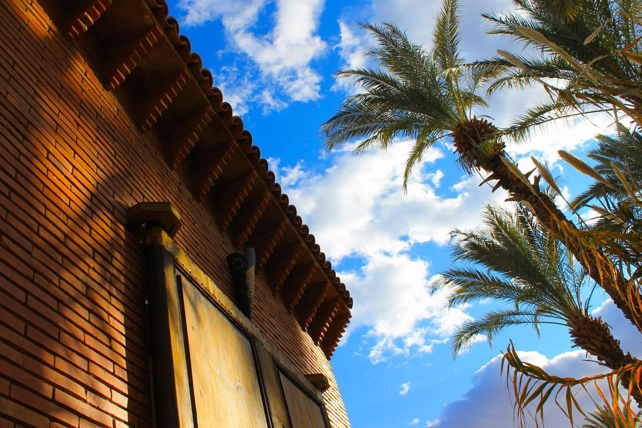 Ecolodge Bab El Oued Maroc Oasis Agdz Εξωτερικό φωτογραφία