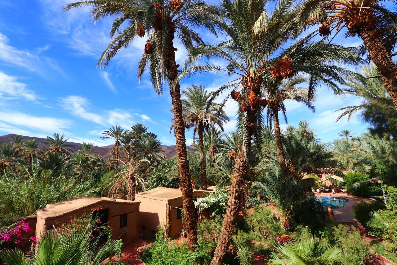Ecolodge Bab El Oued Maroc Oasis Agdz Εξωτερικό φωτογραφία