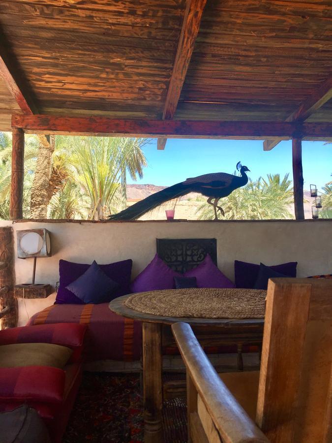Ecolodge Bab El Oued Maroc Oasis Agdz Εξωτερικό φωτογραφία