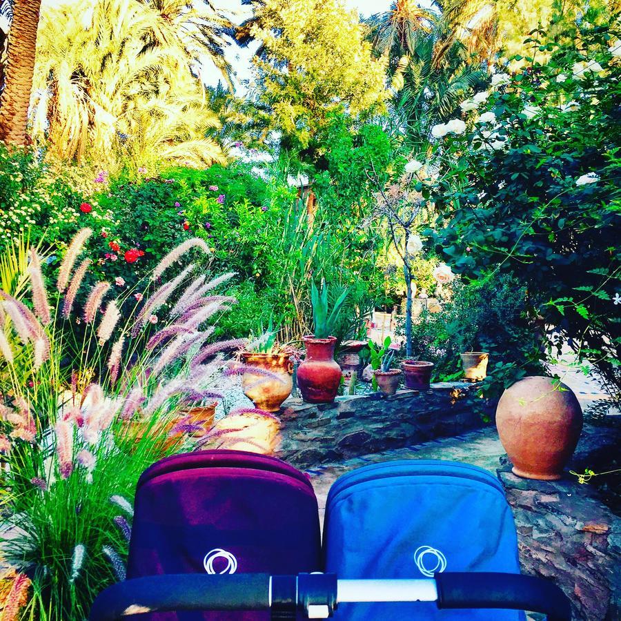 Ecolodge Bab El Oued Maroc Oasis Agdz Εξωτερικό φωτογραφία